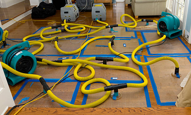 Professional Sewage Cleanup technician working in Hamilton, WA